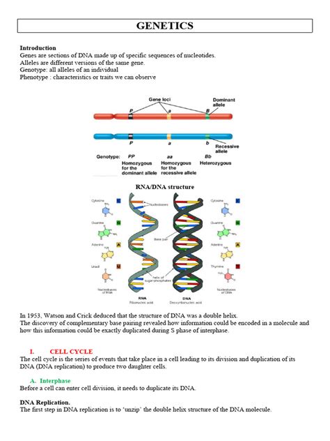 Download Genetics And The Dna Connection Answer Key 