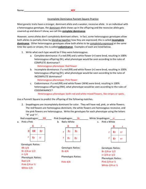 Download Genetics Punnett Squares Practice Packet Answer Key 