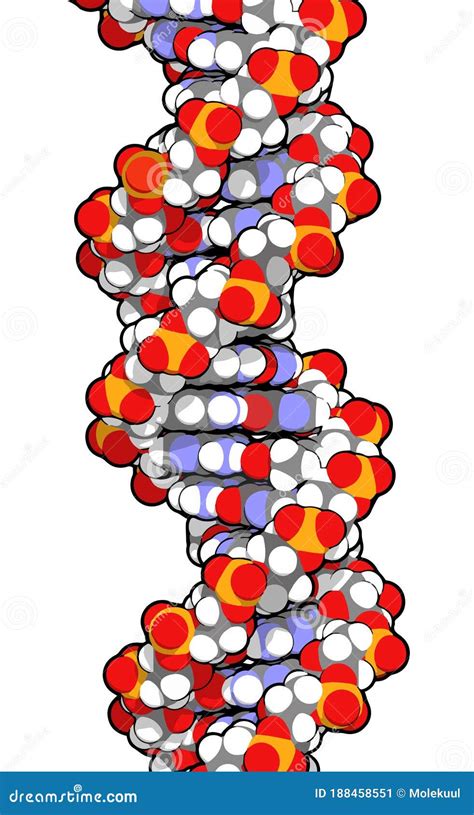 genetische informatie