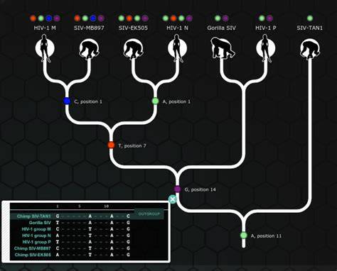 genirevolution mission 3 answers