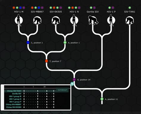 genirevolution mission 5 answers