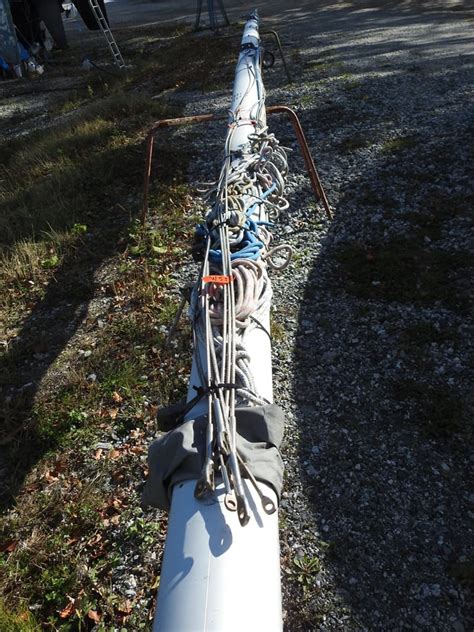 genomgaende mast bat