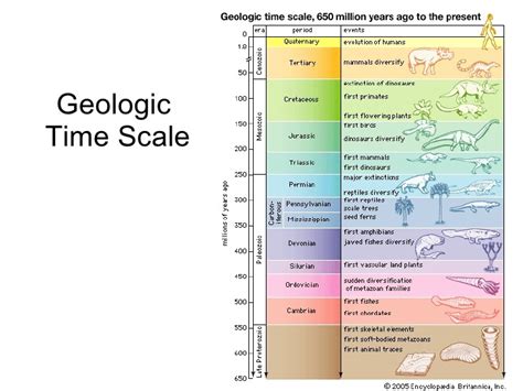 Geologic Time Scale Worksheet Quizizz 8th Grade Geologic Time Scale - 8th Grade Geologic Time Scale
