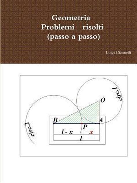 Full Download Geometria Problemi Risolti Passo A Passo 