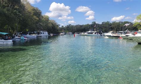 georgetown florida