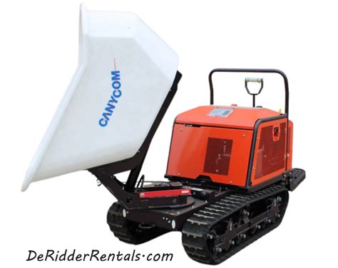 georgia buggy