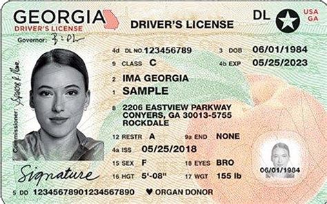 georgia driver services