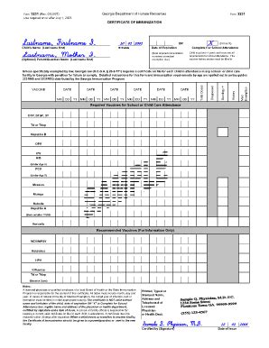 georgia immunization records