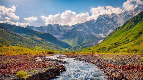 georgia landscape