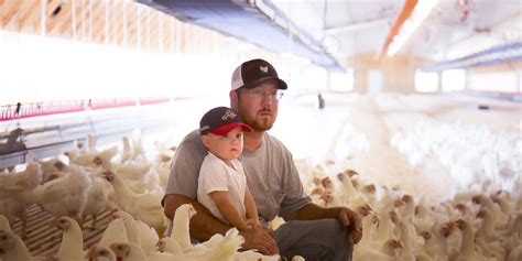 georgia poultry