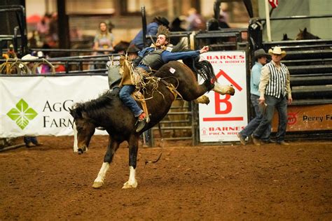 georgia rodeo