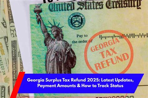 georgia surplus