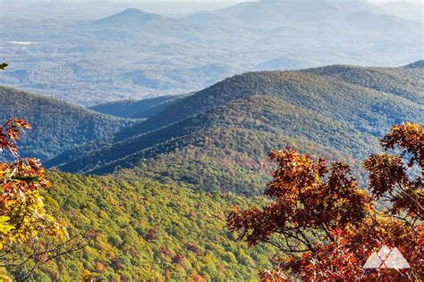georgia view