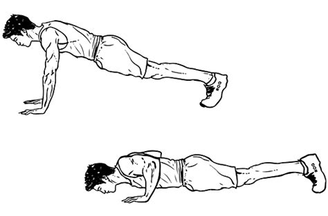 gerakan push up bertujuan untuk melatih otot