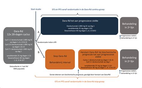 gerandomiseerde studie