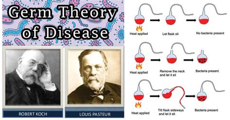 Germ Theory Of Disease Wikipedia Germ Science - Germ Science
