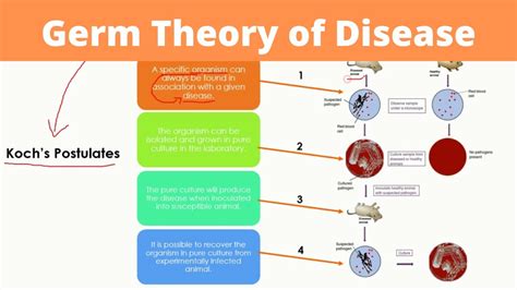 Germ Theory Of Disease Wikipedia Science Germs - Science Germs
