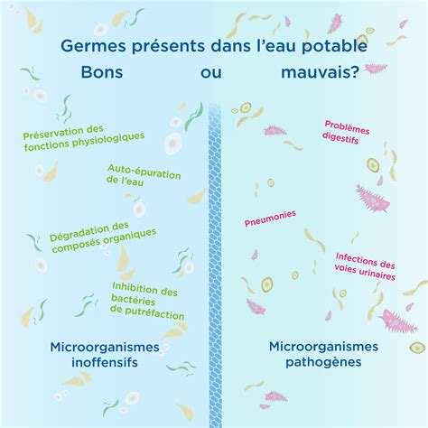 germes de vie dans l astral un voyage passionnant