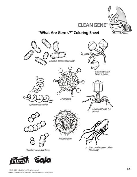 Germs And Bacteria Worksheets K12 Workbook Germs Worksheet 2nd Grade - Germs Worksheet 2nd Grade