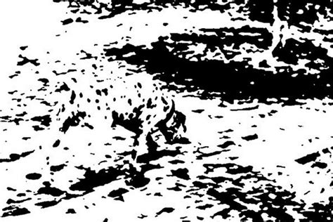 Gestalt Dalmatian
