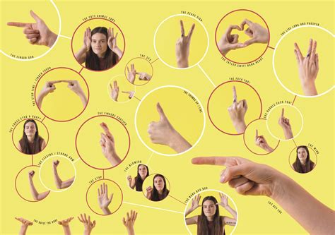 Gesture Sign And Language The Coming Of Age Science In Sign Language - Science In Sign Language