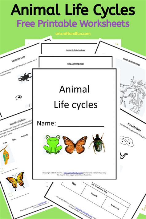 Get Free Printable Animal Life Cycle Worksheets Today Life Cycle Of Animals Worksheet - Life Cycle Of Animals Worksheet