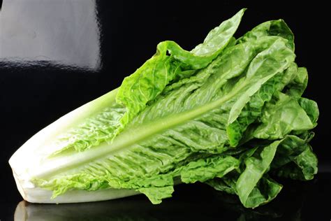 Get How Big Does Romaine Lettuce