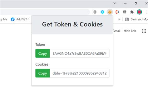 get token cookie | Cookies Manager by SMIT
