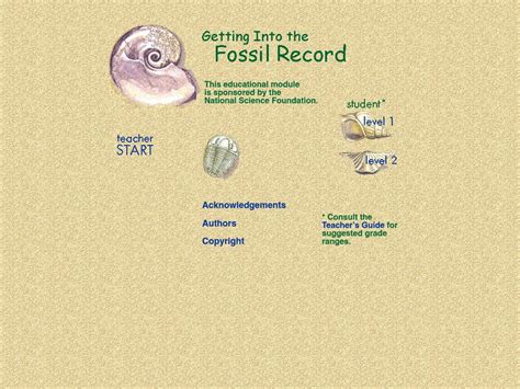 Getting Into The Fossil Record Answer Key