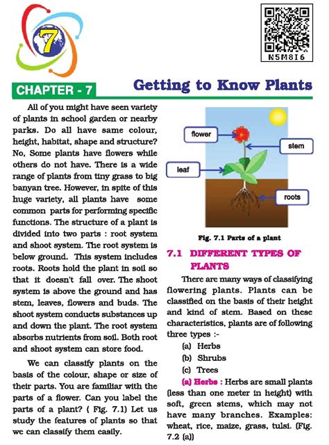 Getting To Know Plants Class 6 Notes