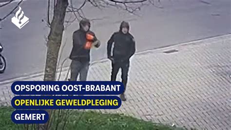 geweldpleging definitie