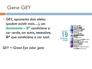 Gey Gene