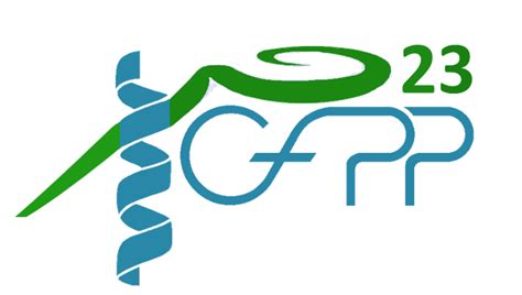verde: Apostas Desportivas Online com Garantia de Segurança Financeira para Todos os Jogadores - Foto 2