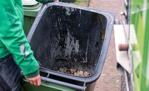 gft container reinigen