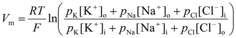 Ghk Equation