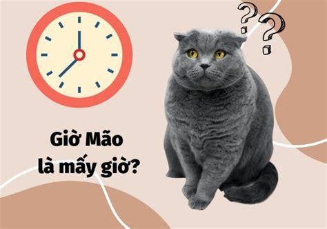 giờ mão | Gi Mo l my gi Vn mnh