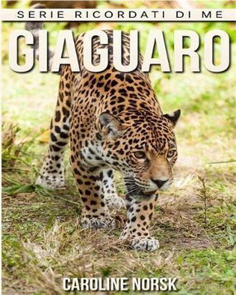 Download Giaguaro Libro Sui Giaguaro Per Bambini Con Foto Stupende Storie Divertenti Serie Ricordati Di Me 