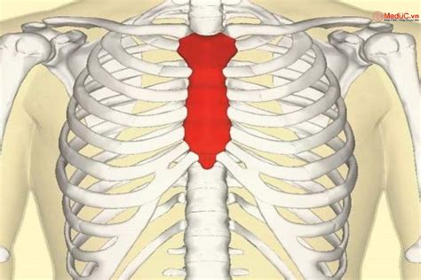 giai uc | Kt qu VQG Australia Bongda24hvn