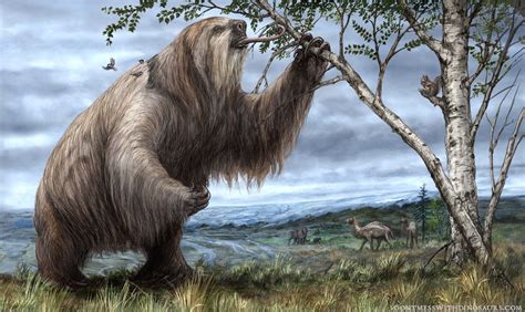 giant ground sloth extinction date