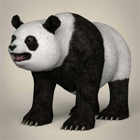 giant panda 3d
