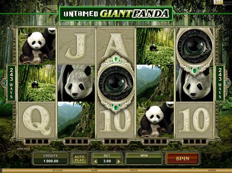 giant panda casino Top deutsche Casinos