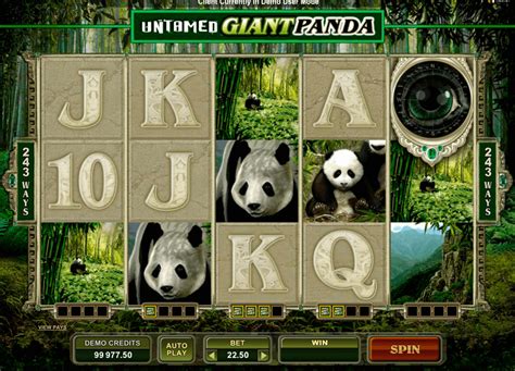 giant panda casino baht