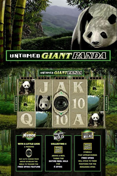 giant panda casino csje