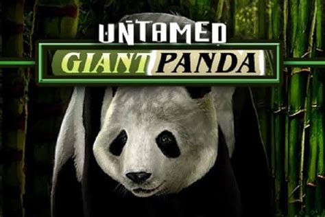 giant panda casino hwiy switzerland