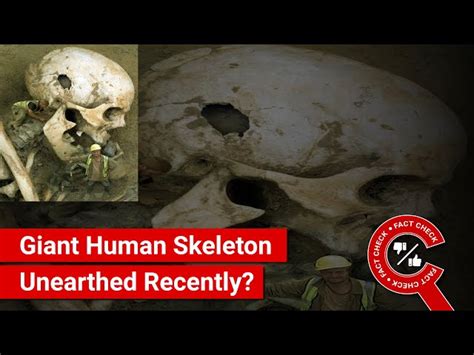 Giant Remains Found