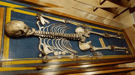 Giant Skeletons Found