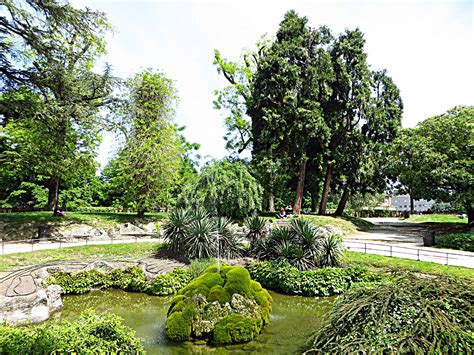 Giardini