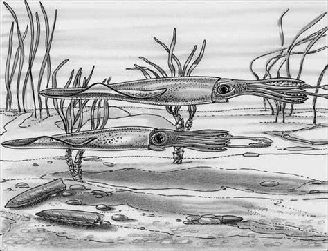 gidsfossielen uitleg