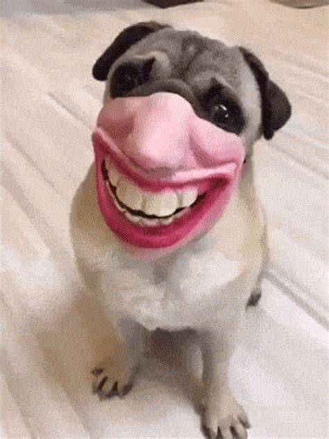 gif funny nude