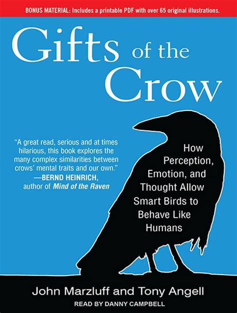 Full Download Gifts Of The Crow How Perception Emotion And Thought Allow Smart Birds To Behave Like Humans John M Marzluff 